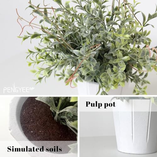 PENGYEE white pulp pots with jute twine bows