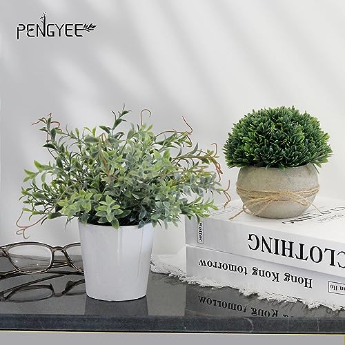 Top view of PENGYEE artificial greenery set
