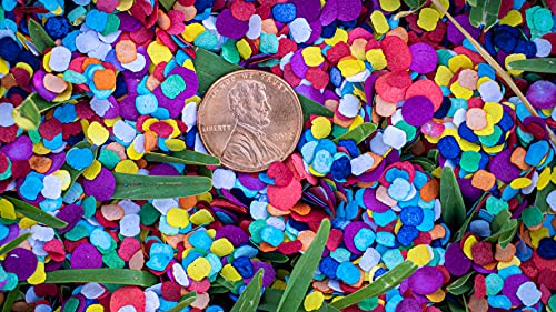 Multicolor recycled paper confetti pile