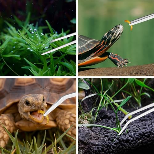 Full Ohtomber aquarium tool collection