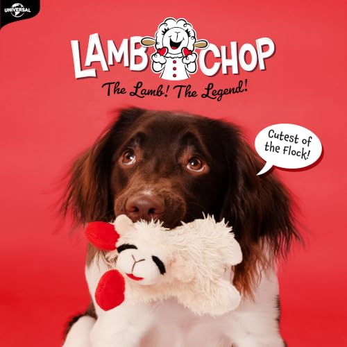Close up of Multipet Lamb Chop plush face