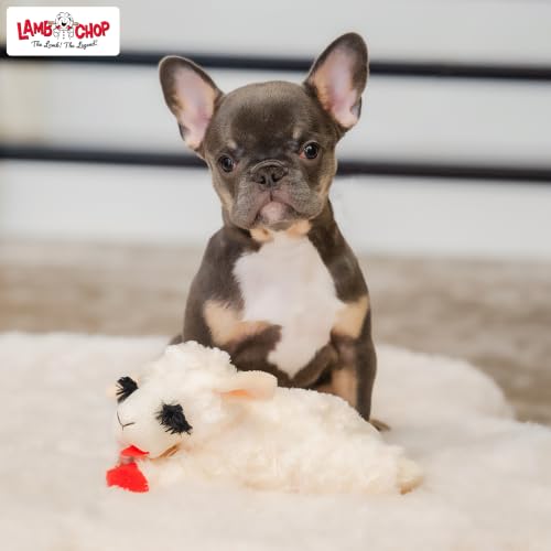 Multipet Lamb Chop squeaky plush toy sitting