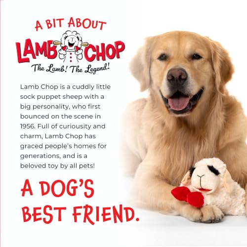 Multipet Lamb Chop 6-inch toy displayed clearly