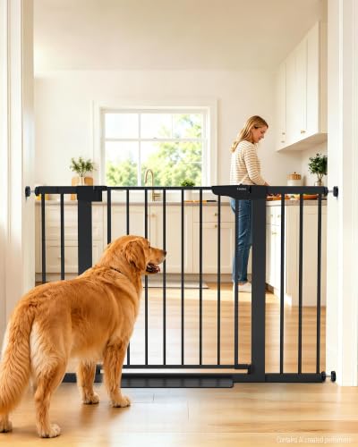 Cumbor 30-46" Baby Gate black front view