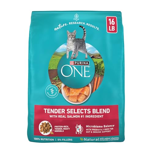 Purina ONE Tender Selects Salmon 16 lb bag front