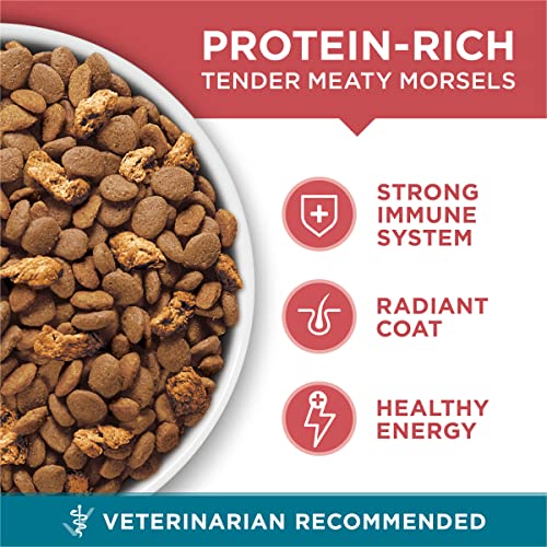Purina ONE 16 lb bag lifestyle shot
