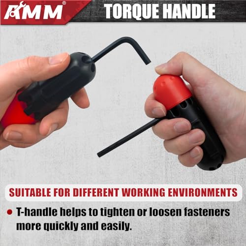 AMM YMX093 hex key set features