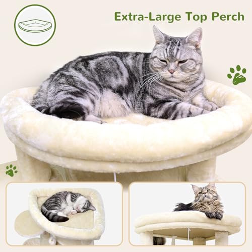 Globlazer cat tree fan-shaped condo interior