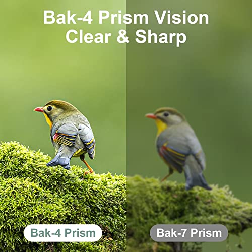 Compact Dranbol binoculars in black finish
