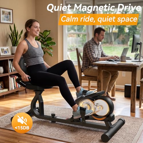 Ultra-quiet recumbent exercise bike