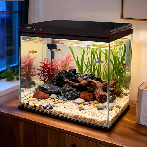 COOSPIDER 10 Gallon Glass Fish Tank front view