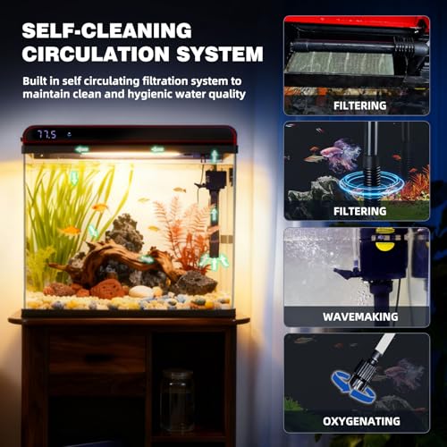 HD glass clarity of the 10 gallon aquarium