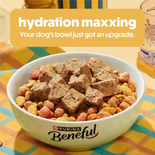 Beef recipe Beneful wet dog food can