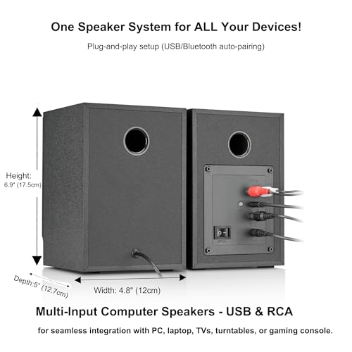 NSY Audio speakers with volume control dial