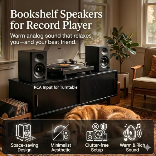 NSY Audio speakers in a modern office setup