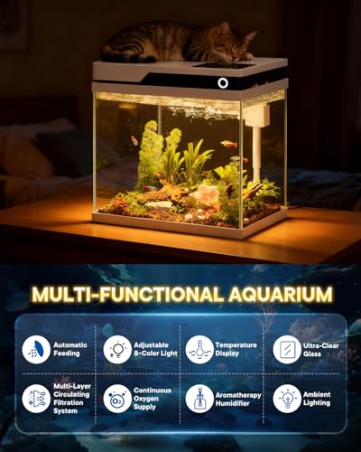 Close up of Vehipa aquarium automated feeder system