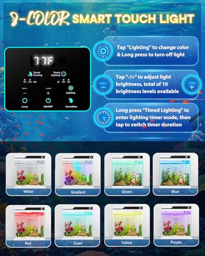 Side profile of Vehipa aquarium showing ultra-clear glass
