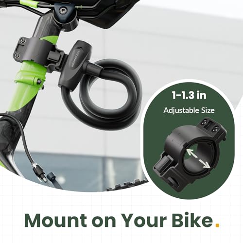 Titanker bike lock with two keys