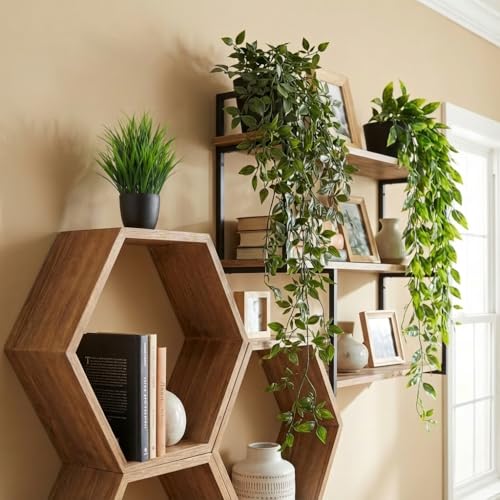 GOEJGSDJ hanging ivy vines display