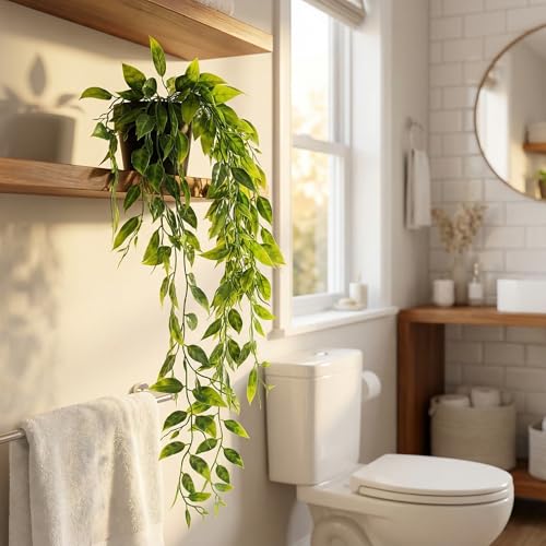 GOEJGSDJ 5 piece plant collection grouping