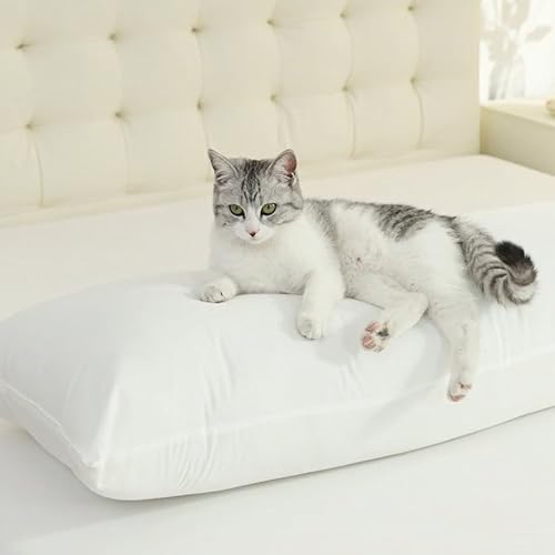 SHOUREN SRBP pillow dimensions