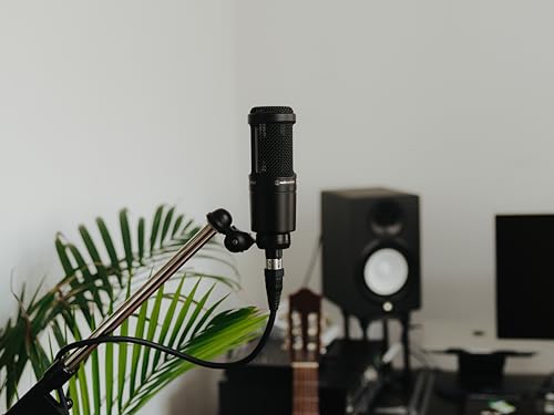 Professional Audio-Technica AT2020 condenser mic