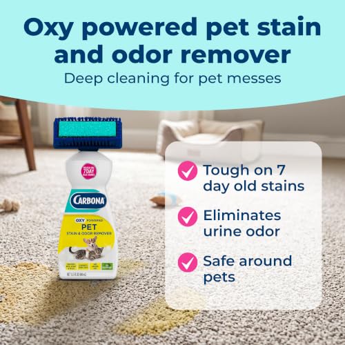 Carbona pet stain remover dual-action applicator head
