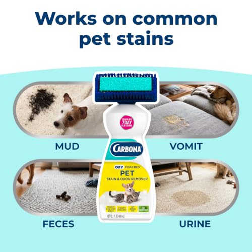 Carbona cleaner brush bristles detail