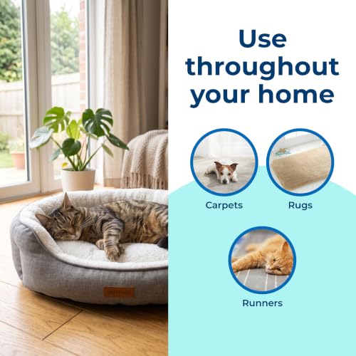 Carbona cleaner used on a carpet stain