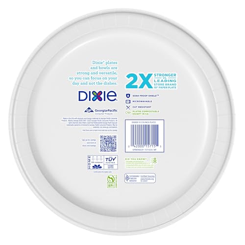 Dixie paper plates for outdoor dining