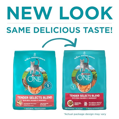Purina ONE salmon cat food packaging detail