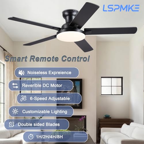 lspmke fan with light smart remote