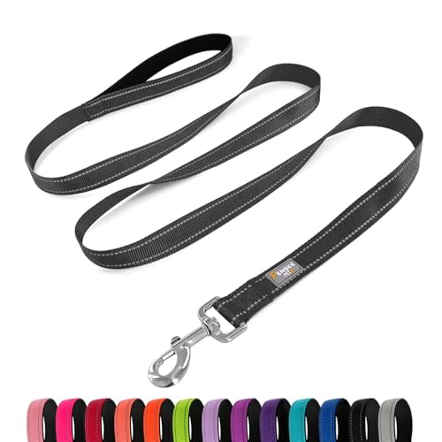 Penseepet 6 FT Basic Dog Leash in Reflective Black