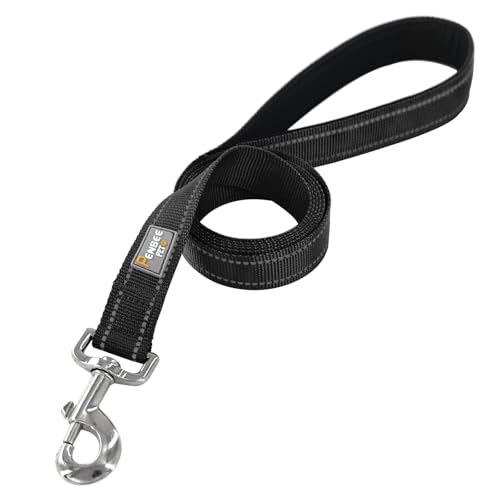 Close up of Penseepet dog leash reflective webbing