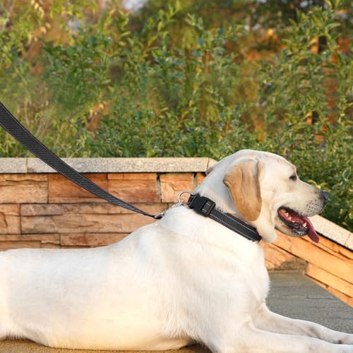 Penseepet leash featuring nickel-plated zinc alloy clasp