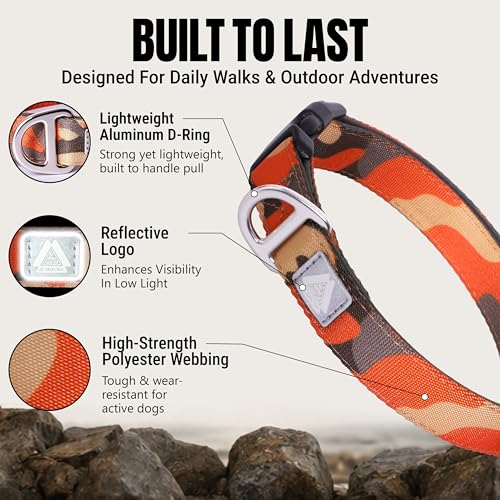 Aviation aluminum hardware on dog collar