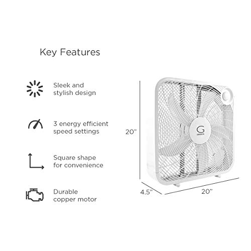 White 20 inch fan in a living room