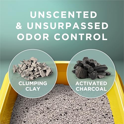 Purina Tidy Cats clumping litter texture detail