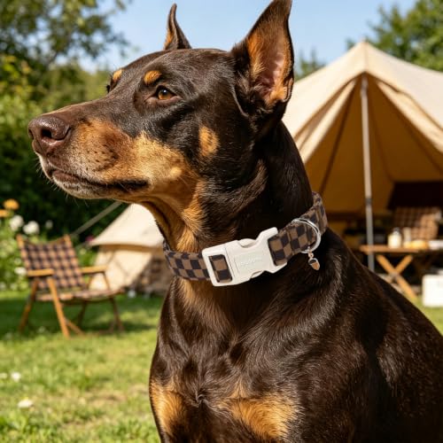 DOGWONG Small Dog Collar with D-ring