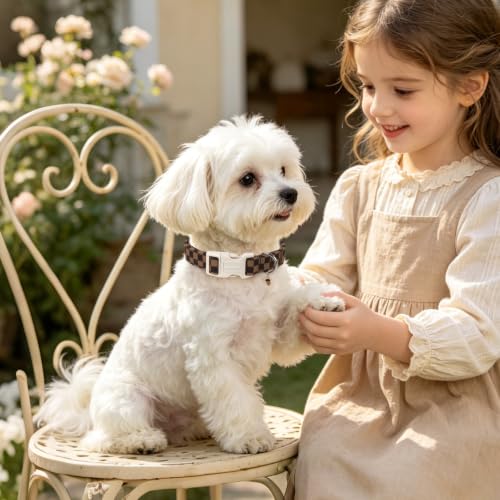 DOGWONG Breathable Cotton Dog Collar