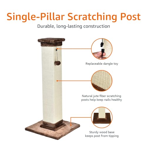 Classic single post cat scratcher with wood base