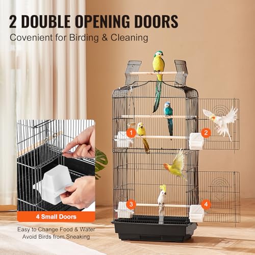 Internal view of bird cage perches and swing