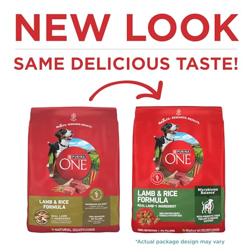 Purina ONE dog food kibble texture