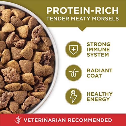 Purina ONE dry dog food serving size