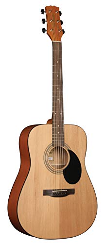 Close up of Jasmine S35 mahogany back and sides