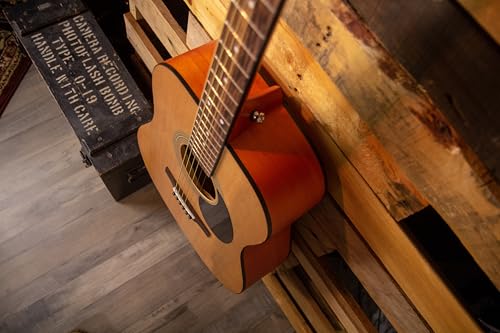 Jasmine S35 acoustic guitar bridge and saddle