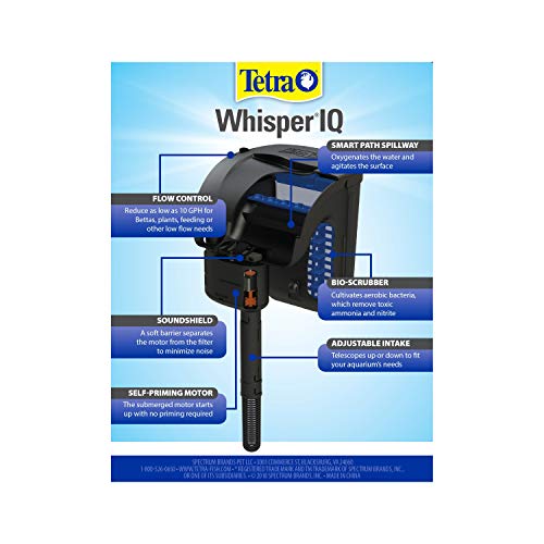 Tetra Whisper IQ submerged motor view