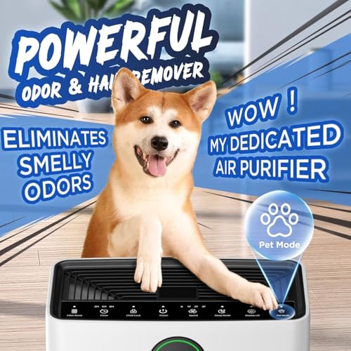 MOOKA PR1 air purifier control panel display
