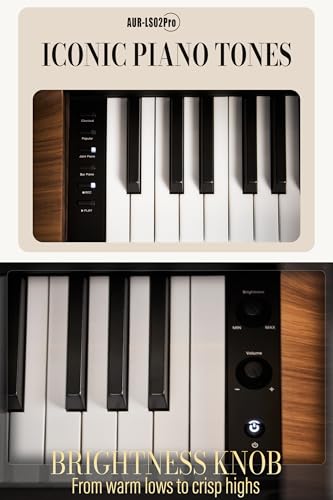 Control panel and voice selection buttons on the piano