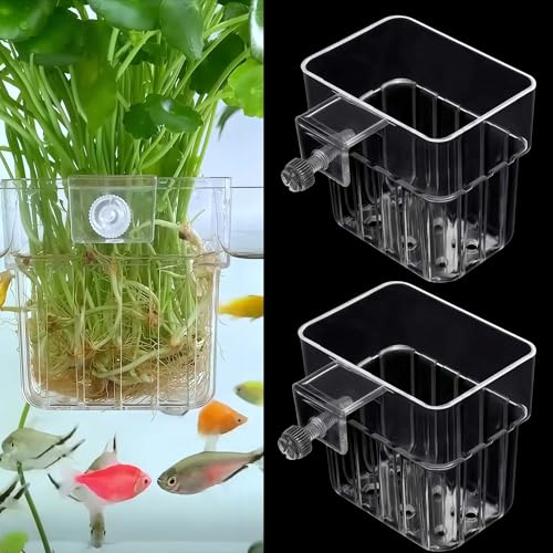 ARREBOL clear aquarium plant holder set